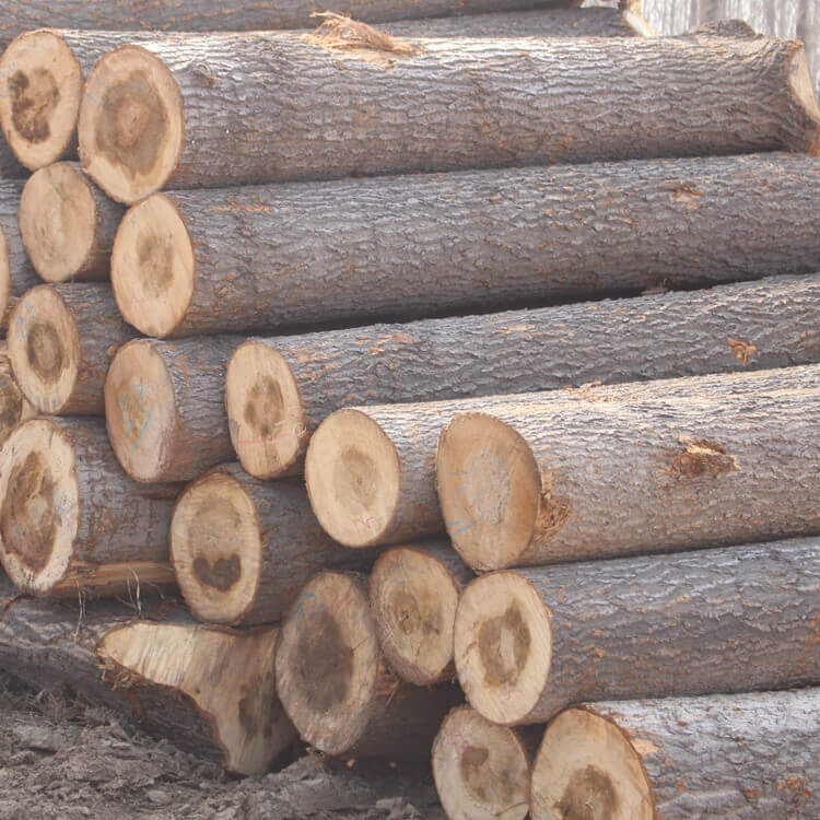Aspen Drying Process
